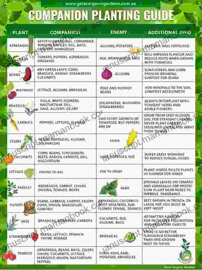 A Comprehensive Infographic On Companion Planting, Showing The Benefits, Principles, And Specific Companion Plant Combinations. Companion Planting For Beginners: Pair Your Plants For A Bountiful Chemical Free Vegetable Garden