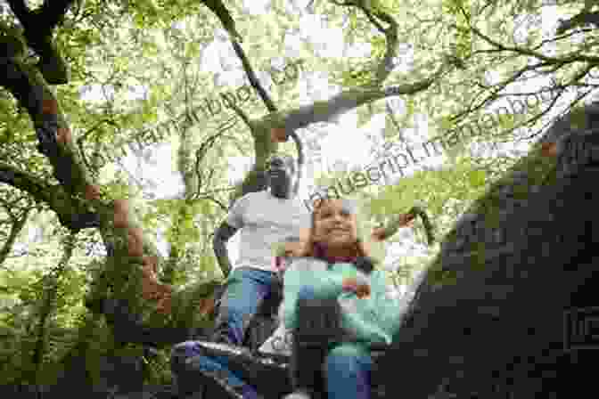 A Photograph Of A Father Climbing A Tall Tree With His Daughter Watching Below My Daddy The Tree Climber