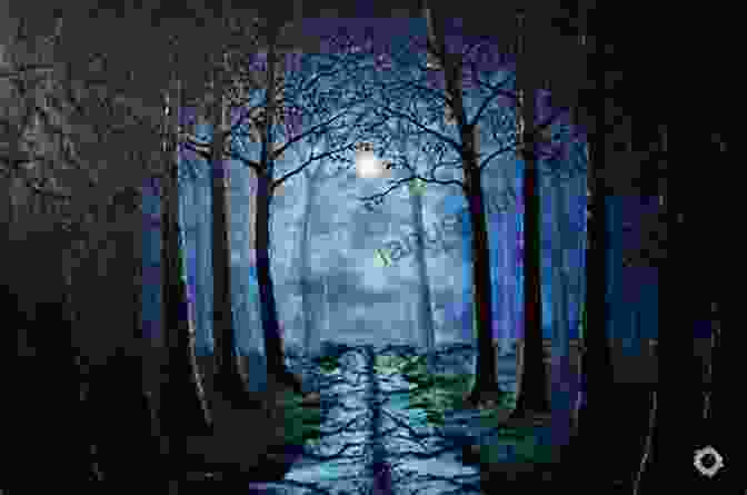 Haiku In The Night Book Cover, Featuring A Moonlit Forest Path Haiku In The Night Ben Ditmars