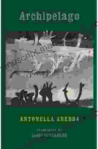 Archipelago Antonella Anedda