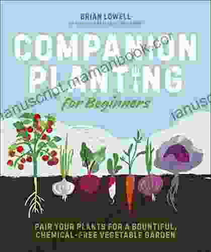 Companion Planting For Beginners: Pair Your Plants For A Bountiful Chemical Free Vegetable Garden