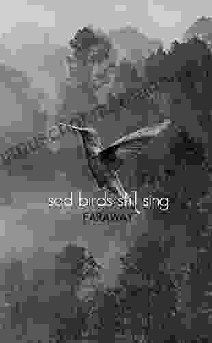 Sad Birds Still Sing Faraway